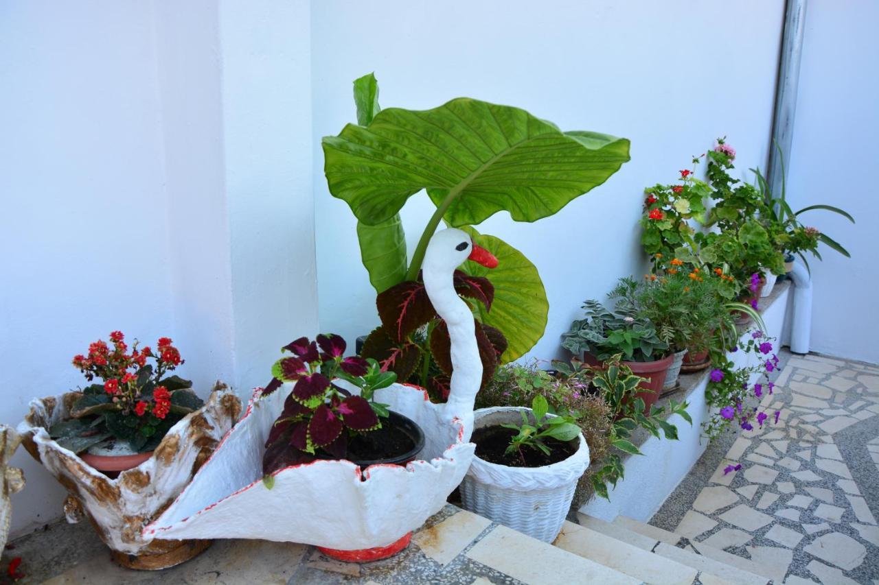 Guest House Vera Ulcinj Exterior foto