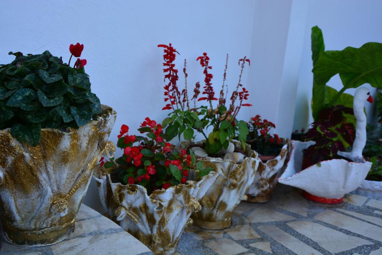 Guest House Vera Ulcinj Exterior foto